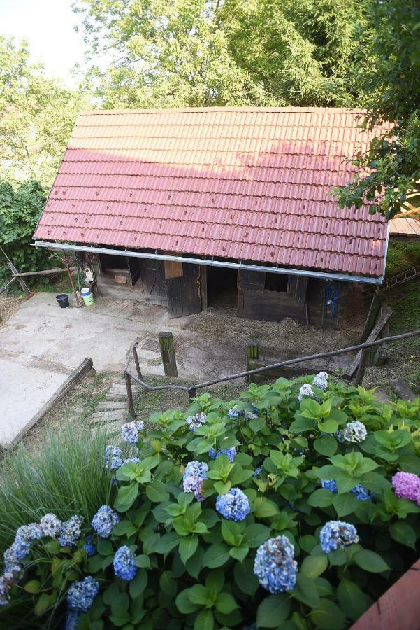 Farm stay Robinson Horseville