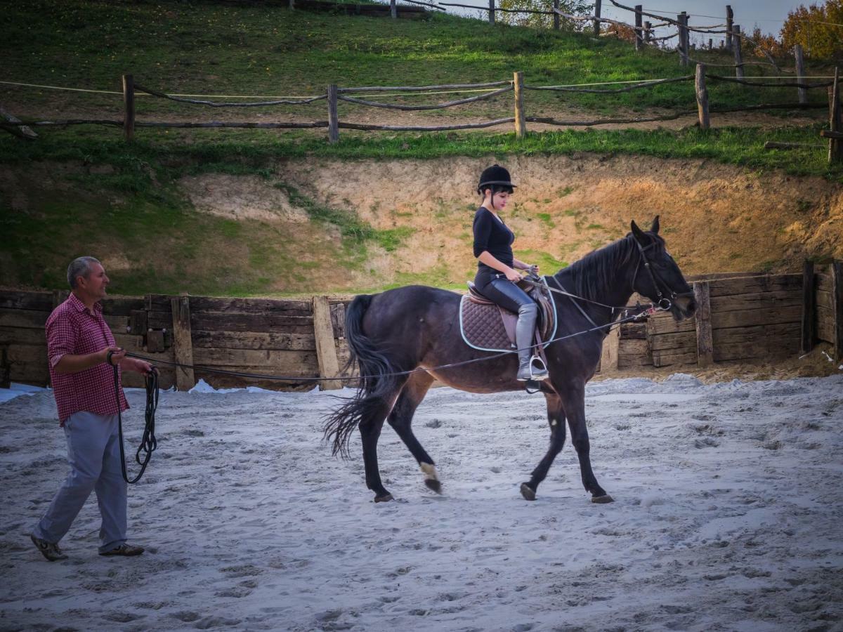 Robinson Horseville Karlovac